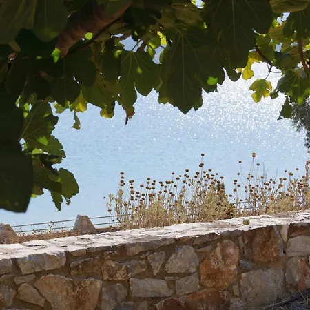 Mirtila Σπίτι διακοπών *